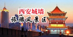 骚逼被大屌猛插视频中国陕西-西安城墙旅游风景区